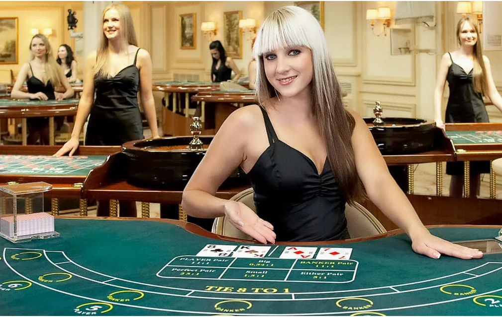 Antarmuka kasino live DOMINO4D pada perangkat mobile